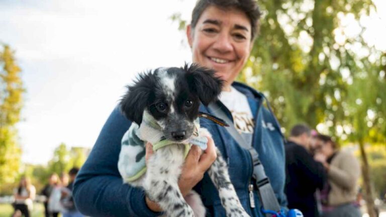 ciudadofreceserviciosgratuitos-de-esterilizacion-canina-y-felina