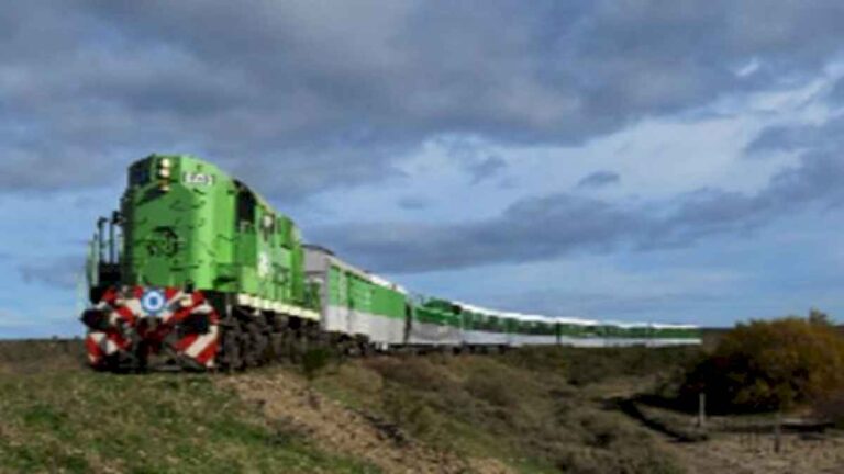 tren-patagonico:-ya-esta-en-marcha-la-renovacion-de-vias-entre-viedma-y-san-antonio-oeste