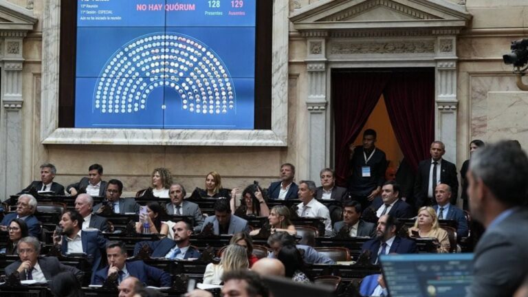 Convocan a diputados a debatir el proyecto de ley Ficha Limpia