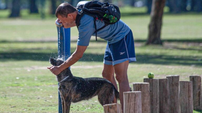 Alerta por calor y altas temperaturas extremas en parte del AMBA y otras 13 provincias