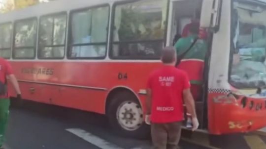 Un micro escolar chocó contra un camión: hay al menos siete menores heridos