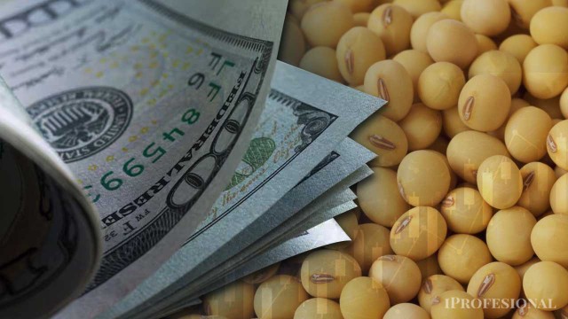 Dólares del agro: la liquidación de divisas del primer semestre fue la más alta en más de 20 años