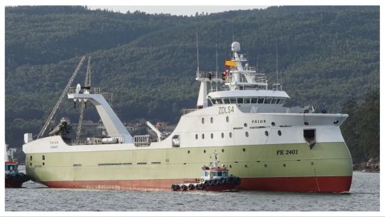 Buques extranjeros avanzan hacia Malvinas para la pesca de Calamar Loligo a pesar de su escasez