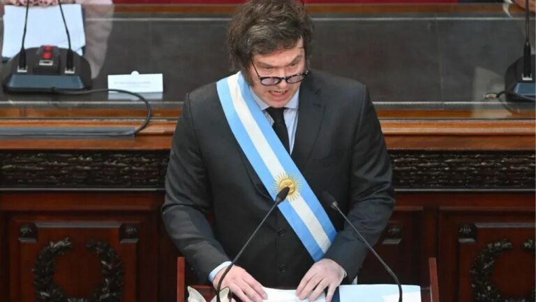 El gobierno pierde las facultades delegadas en la Ley Bases