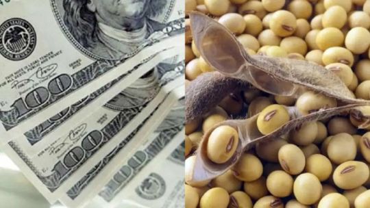 Expectativa por el anuncio de una nueva baja de retenciones: Se registraron compras fuertes de soja y maíz