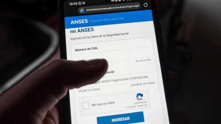El trámite online para presentar la Libreta de la Asignación Universal por Hijo