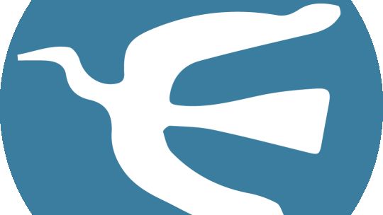 Obesidad: casi 26 millones de argentinos la padecen