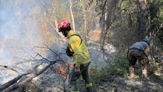 Incendios en Chubut: cómo siguen las tareas de los bomberos cordobeses tras 10 días de trabajo