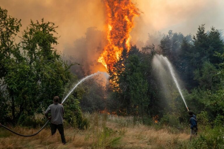 Brigadistas de los incendios en el sur reclaman al gobierno de Milei por salarios dignos