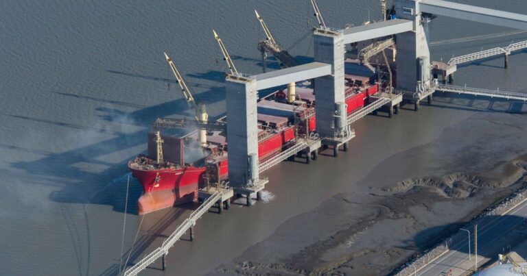 Cayó en febrero un 30% la liquidación de divisas del sector agroexportador: los motivos