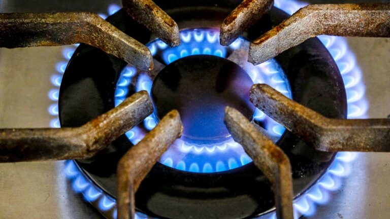 Factura de gas con gráfico de evolución de tarifas en Argentina