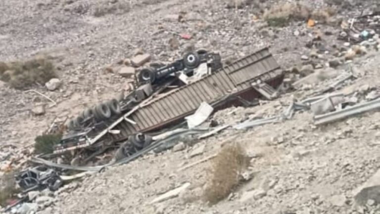 Camión accidentado en el margen de la Ruta 7, cerca de la Curva de Guido, en Mendoza.