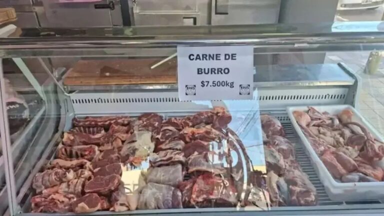 Productor muestra carne de burro en carnicería de Chubut