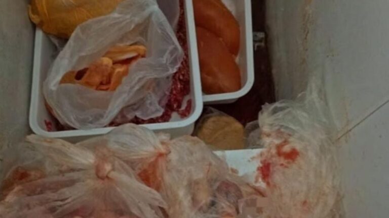 Operativo de control bromatológico en una carnicería de General Alvear, Mendoza