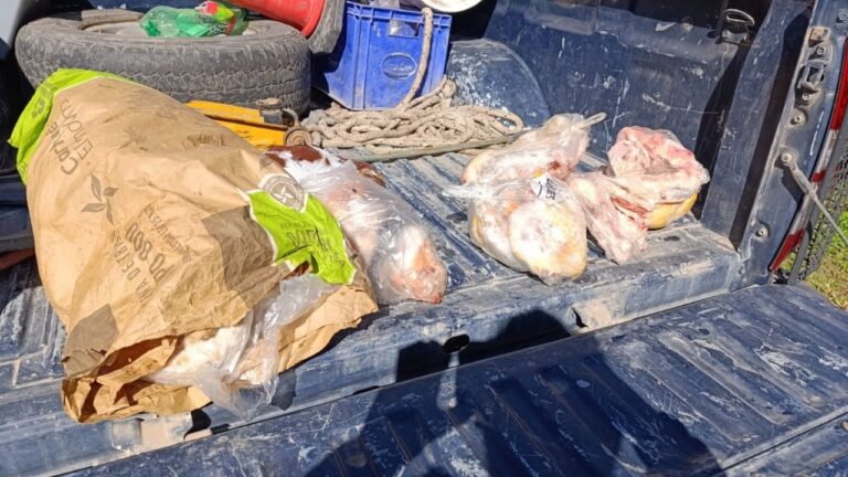 Operativo de decomiso de productos cárnicos en un comercio de General Alvear, Mendoza