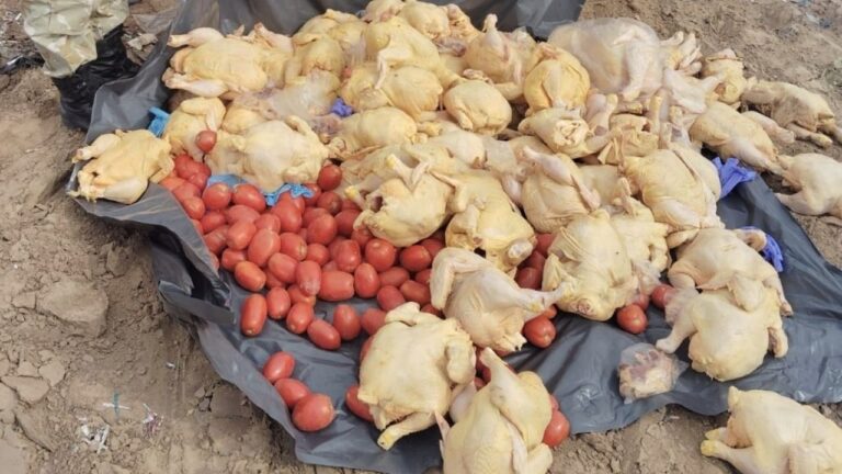 Operativo de control de productos avícolas en Guaymallén, Mendoza