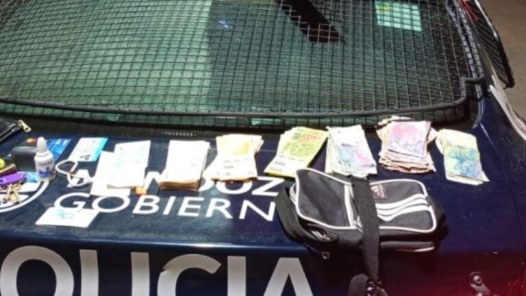 Operativo policial y de cámaras de seguridad en calles de Ciudad, Mendoza