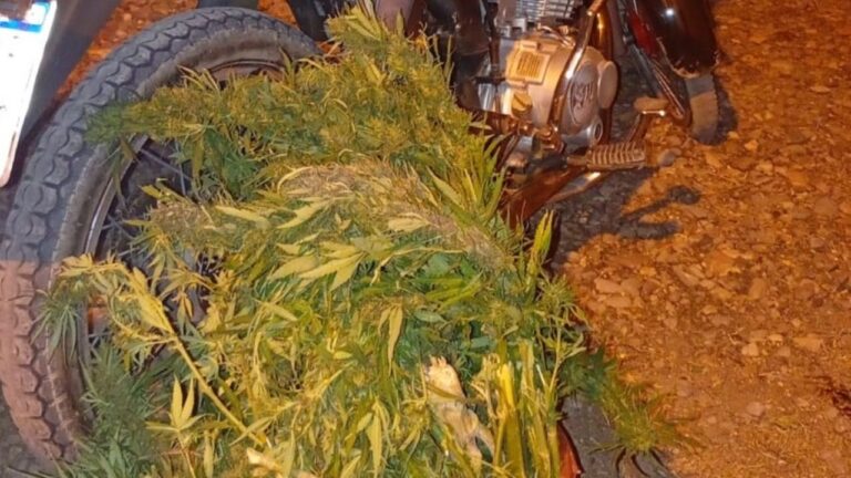 Operativo policial en ruta de Junín, Mendoza, donde se detuvo a un motociclista.