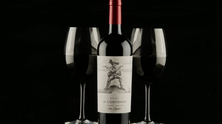 Botella de vino Malbec y copas sobre un fondo con viñedos mendocinos al atardecer.
