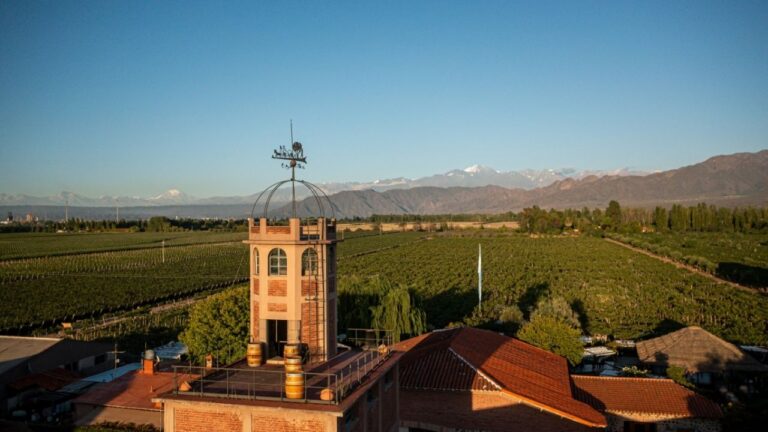 Estuche con tres botellas de vino Malbec de la línea Aventura de Bodega Kaiken, sobre un fondo de viñedos mendocinos.