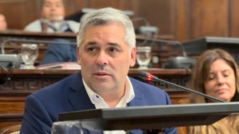 Diputado Germán Gómez durante una sesión legislativa en Mendoza