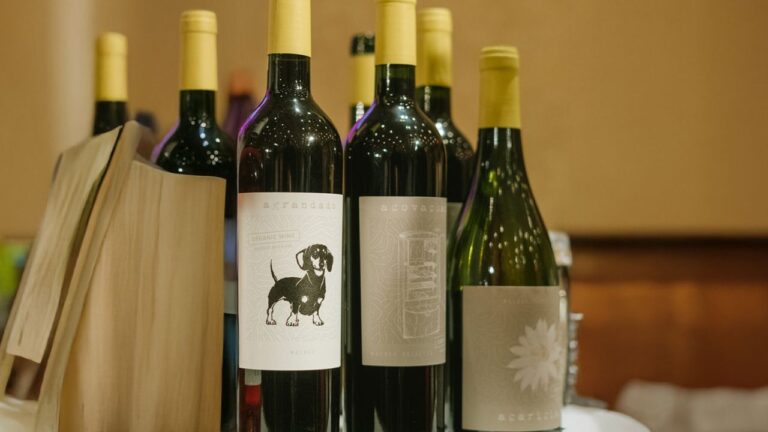 Botellas de la línea de vinos orgánicos Malbecino de Familia Salas, con su viñedo de Maipú al fondo.