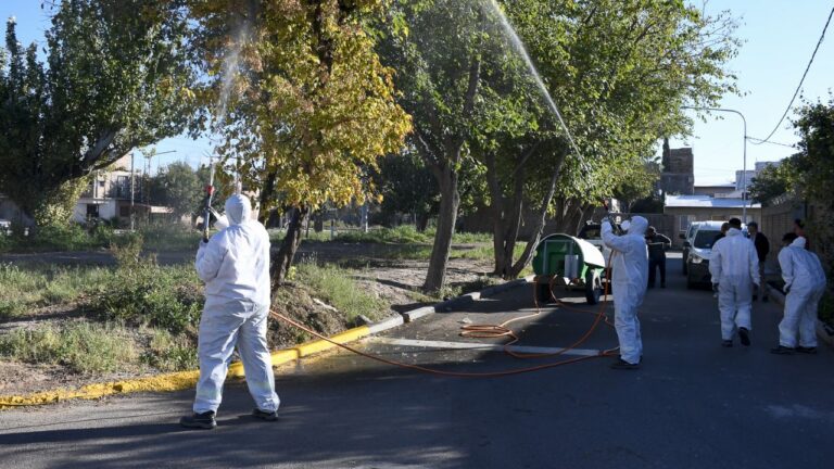 Operativo de control de la chinche del arce en árboles de Guaymallén