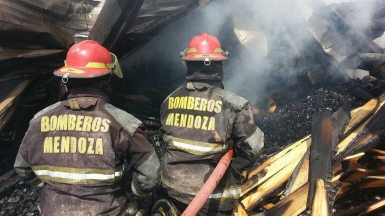 Bomberos trabajando para controlar el incendio en una fábrica de pallets en Maipú, Mendoza