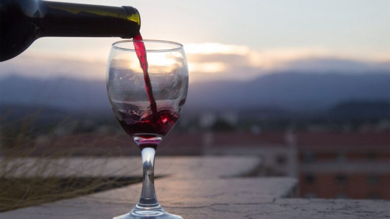 Paisaje de viñedos en Mendoza con los Andes de fondo, representando el turismo del vino.