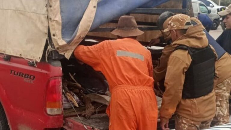 Procedimiento policial en la Ruta 40 de Mendoza por transporte irregular de carne