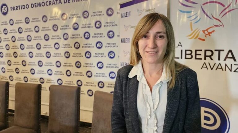 Mercedes Llanos, diputada nacional por Mendoza, presenta proyecto en el Congreso.