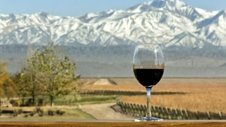 Barricas de vino Malbec en una bodega de Mendoza, representando la exportación a granel.