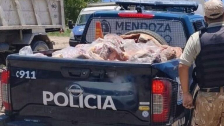 Operativo de control de alimentos y fauna silvestre en el sur provincial de Mendoza