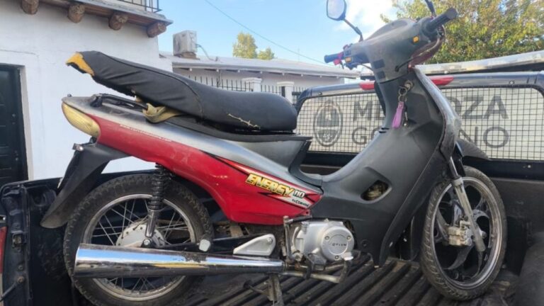 Efectivos policiales durante un operativo de seguridad en el Gran Mendoza