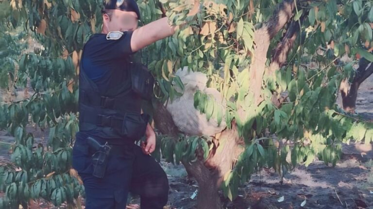 Efectivos policiales realizando patrullaje en una zona rural de Tupungato, Mendoza.