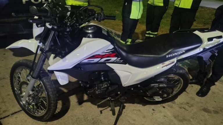 Efectivos policiales durante un procedimiento de control en una calle de Mendoza