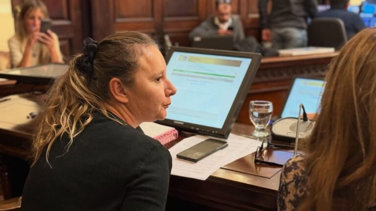 Diputada Stella Maris Huczak presenta proyecto de ley sobre alcoholemia en funcionarios