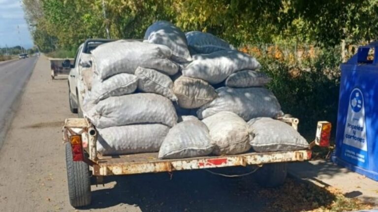 Operativo policial de control de carga en una ruta de Tupungato, Mendoza