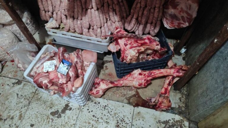 Operativo de decomiso de alimentos en un depósito de San Carlos, Mendoza