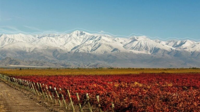 Logotipo de Vinexpo Explorer Mendoza 2026 con paisaje de viñedos mendocinos al fondo.