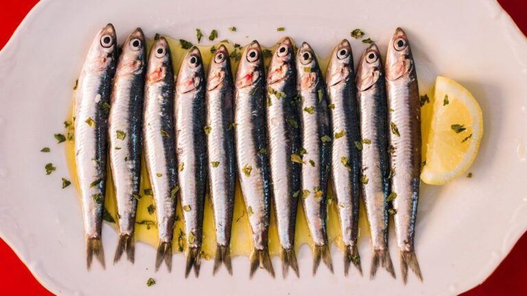 Lata de sardinas abierta sobre una mesa de madera con ingredientes frescos